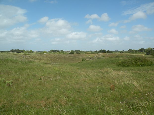  la lande du bord de mer